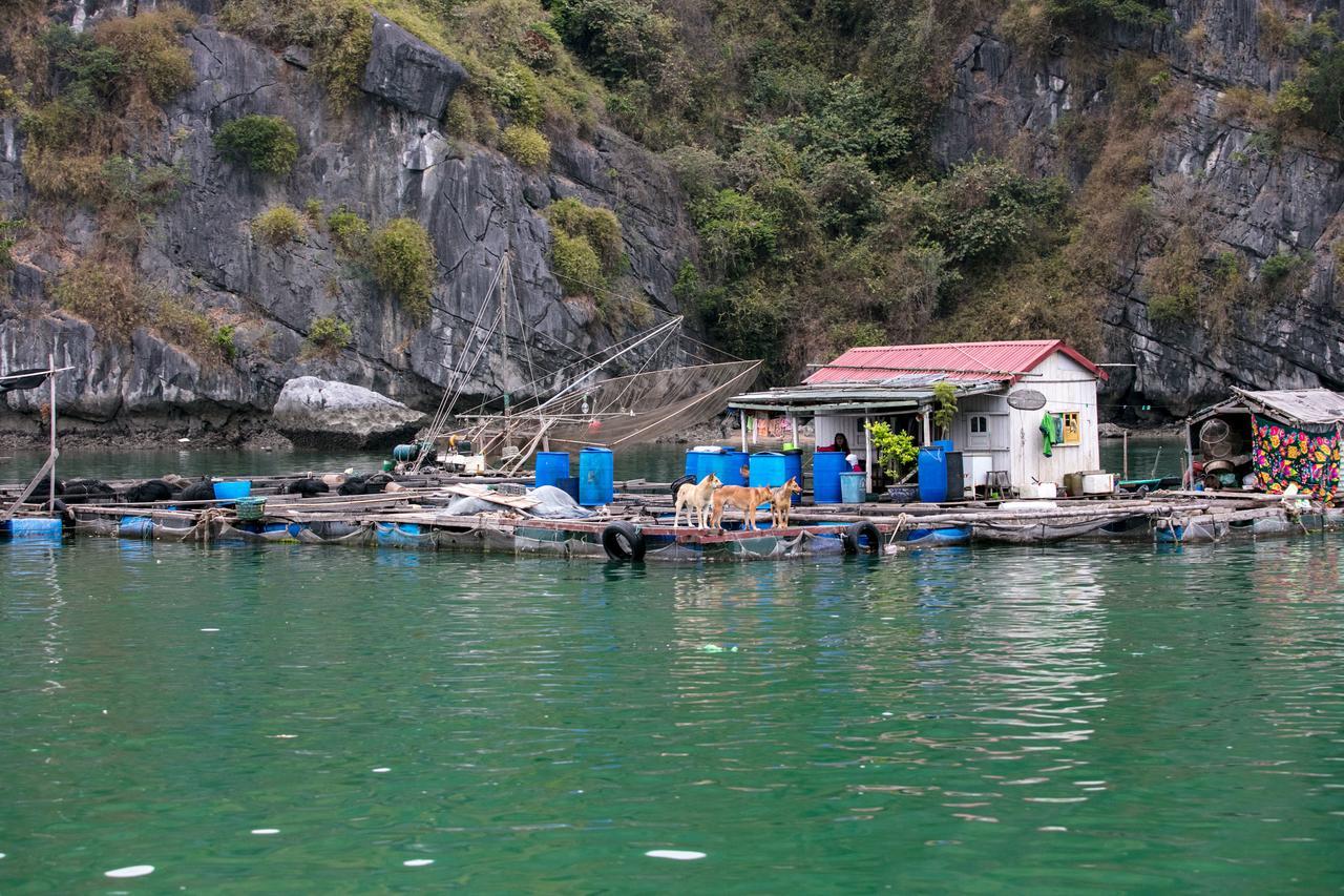Unicharm Cruise Hotell Ha Long Eksteriør bilde